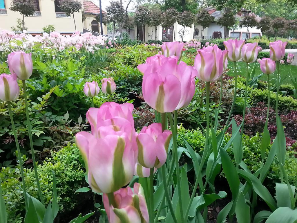 Kierunek Sopot Apartament Pomorski מראה חיצוני תמונה